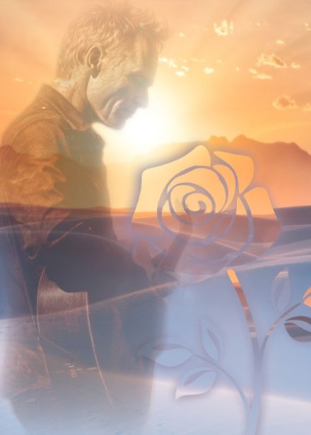 Шоу Sting: Desert Rose Symphony